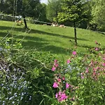 Rhoener Sternenhimmel 1 Und 2 アパート *