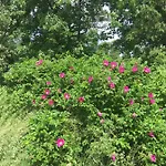 Rhoener Sternenhimmel 1 Und 2