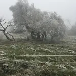 アパート Rhoener Sternenhimmel 1 Und 2