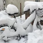 Rhoener Sternenhimmel 1 Und 2 アパート Frankenheim/Rhon