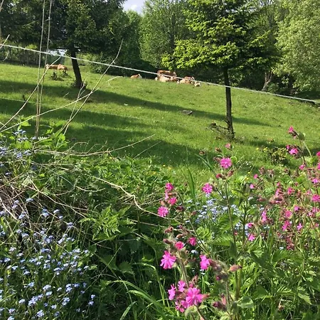 Rhoener Sternenhimmel 1 Und 2 Apartamento *