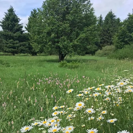 Rhoener Sternenhimmel 1 Und 2 Apartamento Frankenheim/Rhon