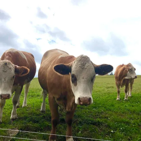 Apartamento Rhoener Sternenhimmel 1 Und 2 Frankenheim/Rhon