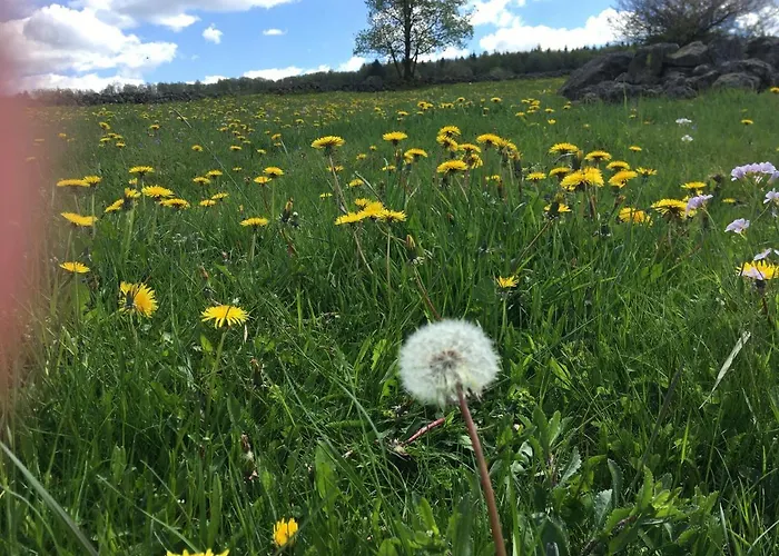 Appartement Rhoener Sternenhimmel 1 Und 2