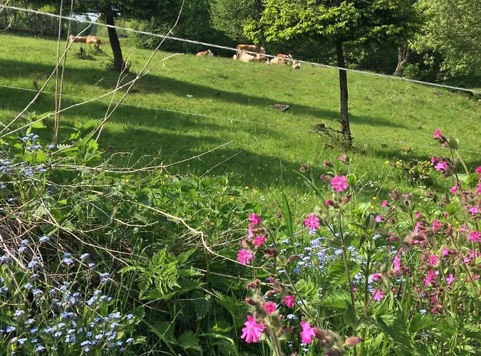 Rhoener Sternenhimmel 1 Und 2 Apartament *