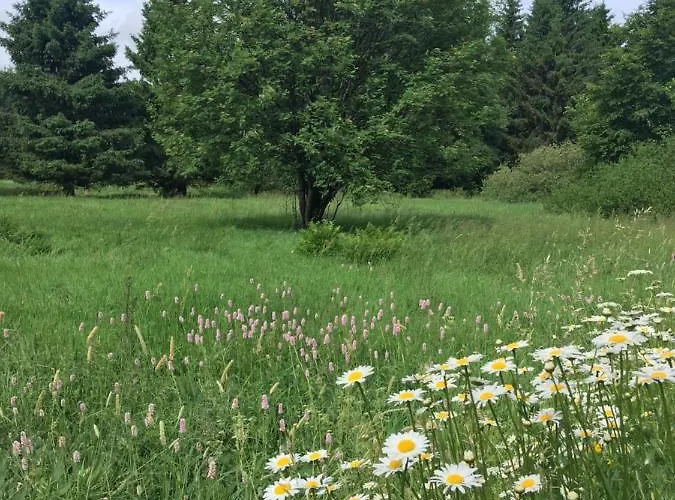 Rhoener Sternenhimmel 1 Und 2 Appartement Frankenheim/Rhon