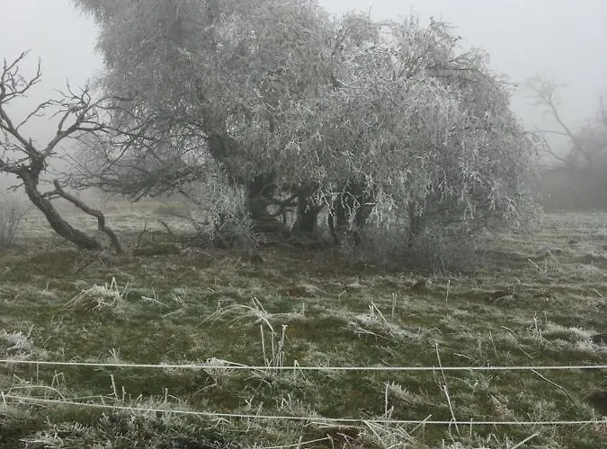 Apartament Rhoener Sternenhimmel 1 Und 2